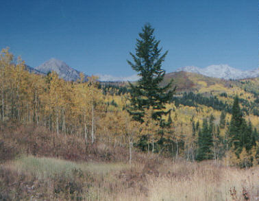 View north to Box Elder Peak and Pfeifer Horn.