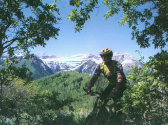 The Doc enters a tunnel of trees, with Timpanogos as a backdrop.