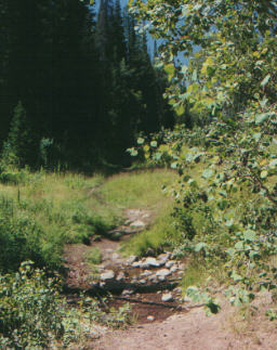 The trail dips through the creek.