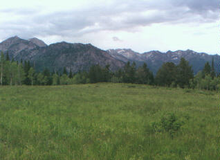 Julie Andrews meadow, with the Wasatch Mountains as a backdrop